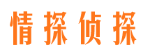 龙文市私家侦探公司